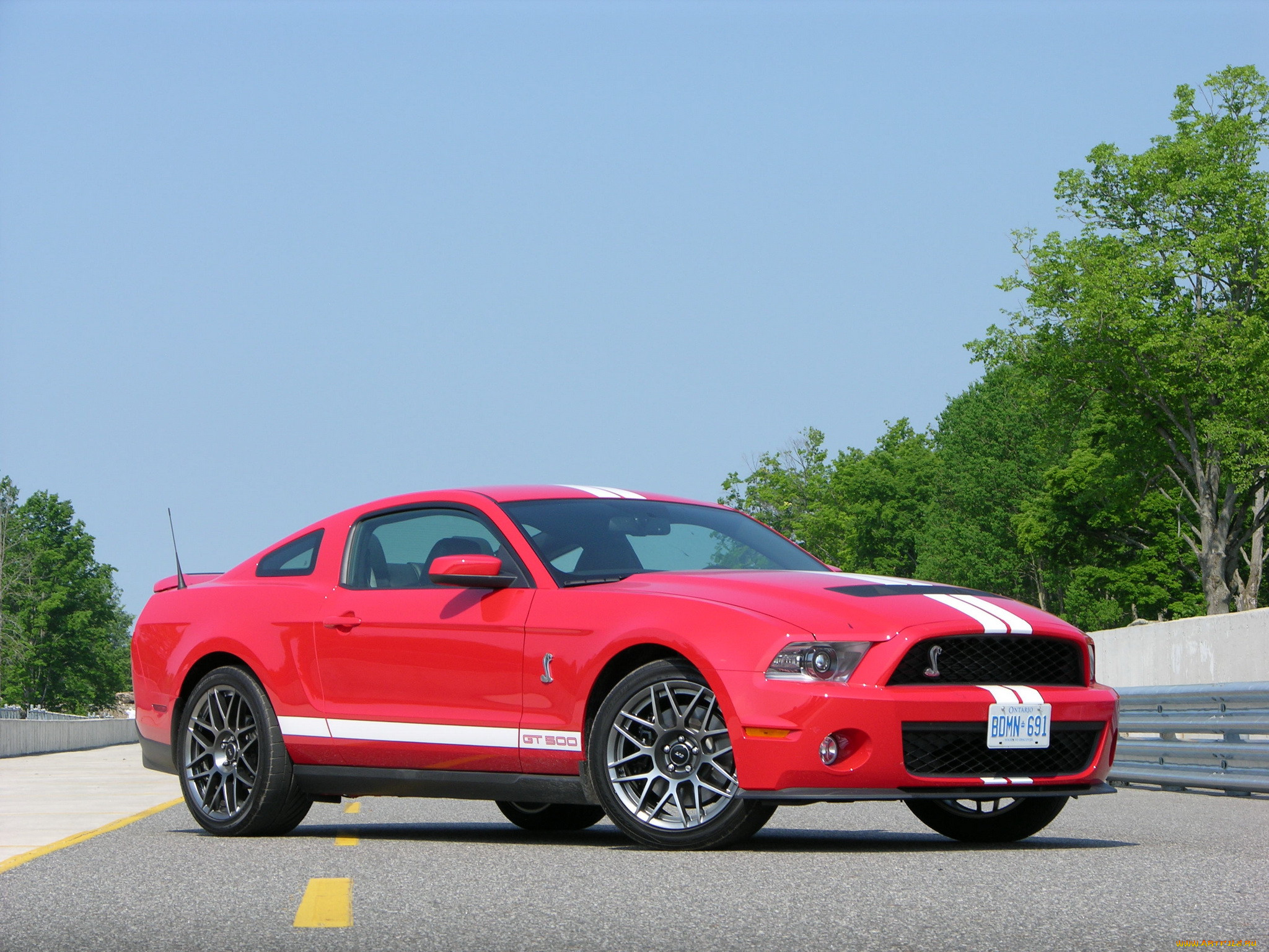 , mustang